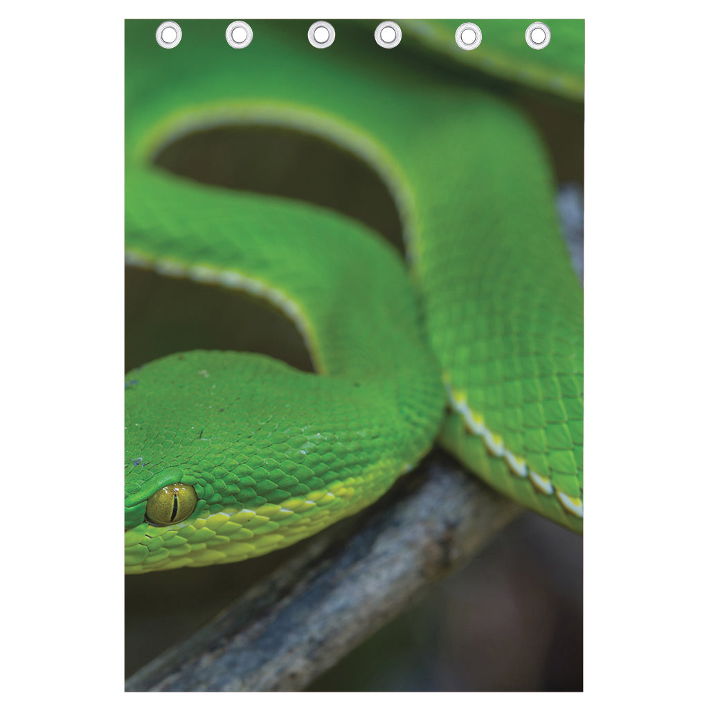 Trimeresurus Albolabris Snake Print Curtain