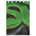Trimeresurus Albolabris Snake Print Curtain