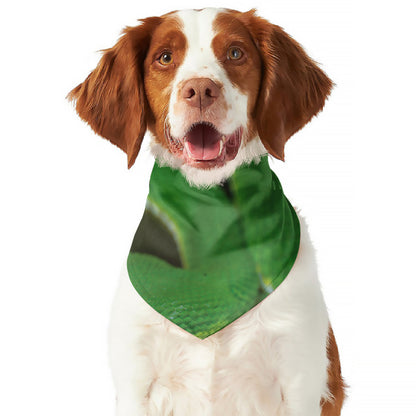 Trimeresurus Albolabris Snake Print Dog Bandana