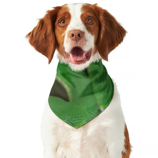 Trimeresurus Albolabris Snake Print Dog Bandana