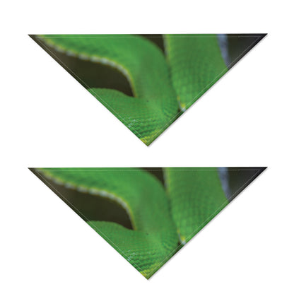 Trimeresurus Albolabris Snake Print Dog Bandana