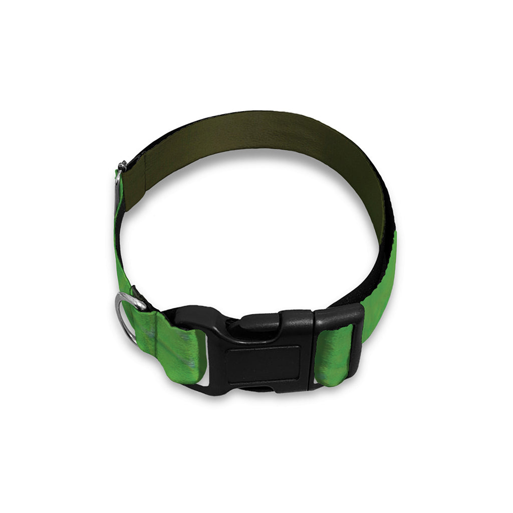 Trimeresurus Albolabris Snake Print Dog Collar