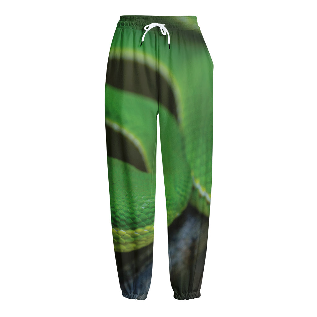 Trimeresurus Albolabris Snake Print Fleece Lined Knit Pants