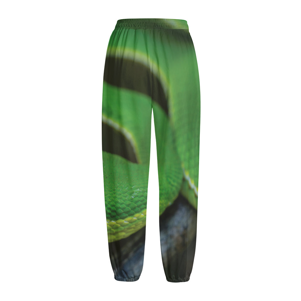 Trimeresurus Albolabris Snake Print Fleece Lined Knit Pants