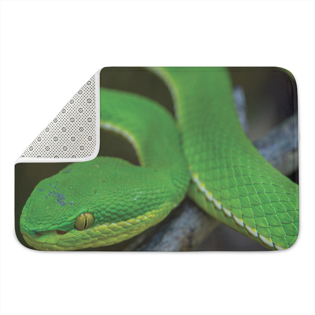 Trimeresurus Albolabris Snake Print Indoor Door Mat