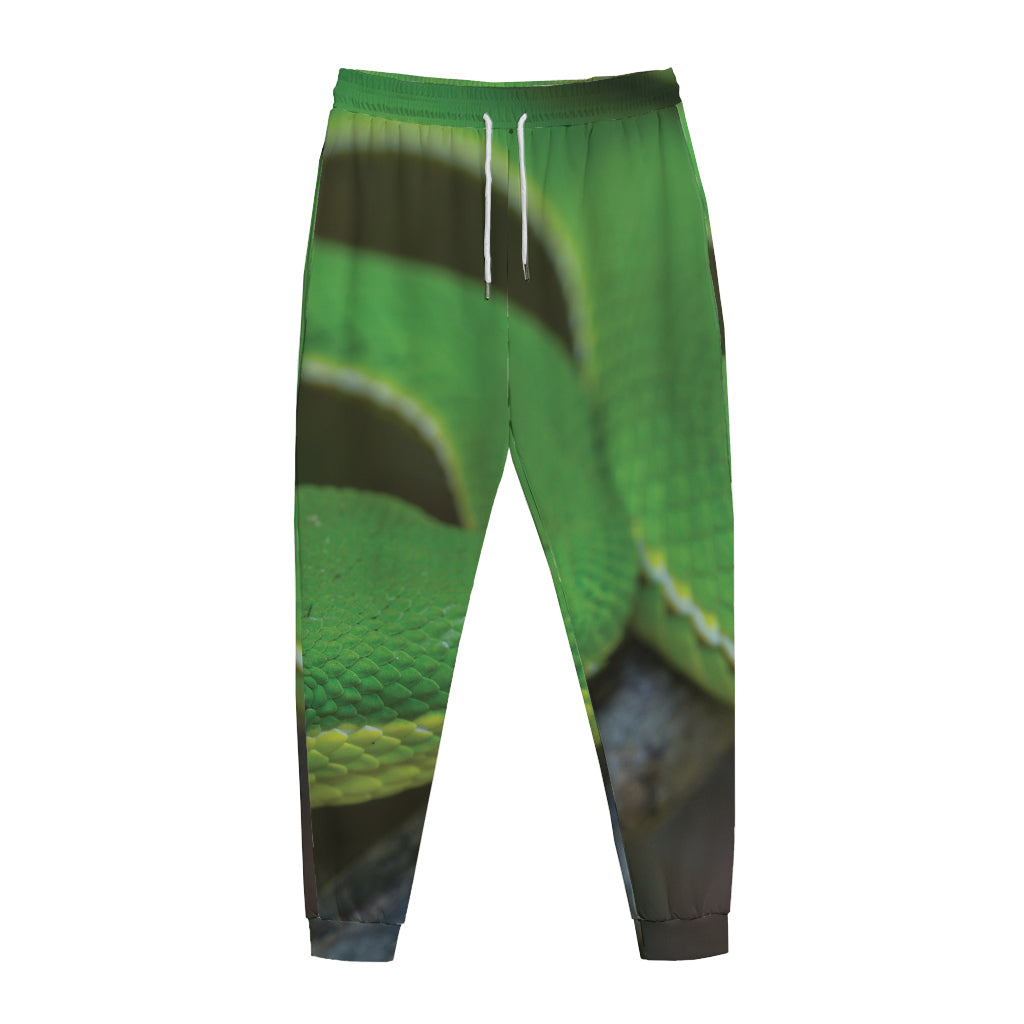 Trimeresurus Albolabris Snake Print Jogger Pants