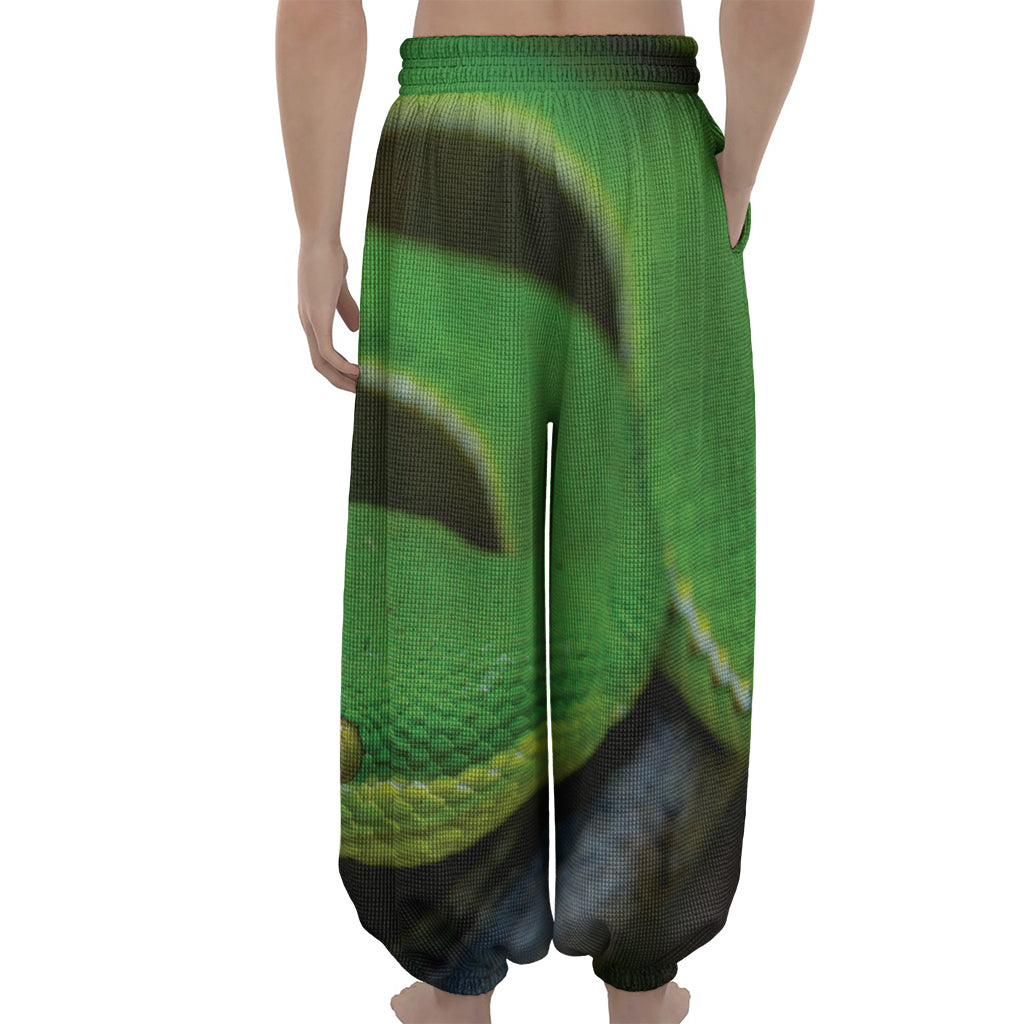 Trimeresurus Albolabris Snake Print Lantern Pants