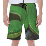 Trimeresurus Albolabris Snake Print Men's Beach Shorts