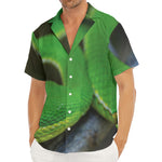 Trimeresurus Albolabris Snake Print Men's Deep V-Neck Shirt