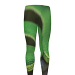 Trimeresurus Albolabris Snake Print Men's leggings