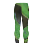 Trimeresurus Albolabris Snake Print Men's leggings