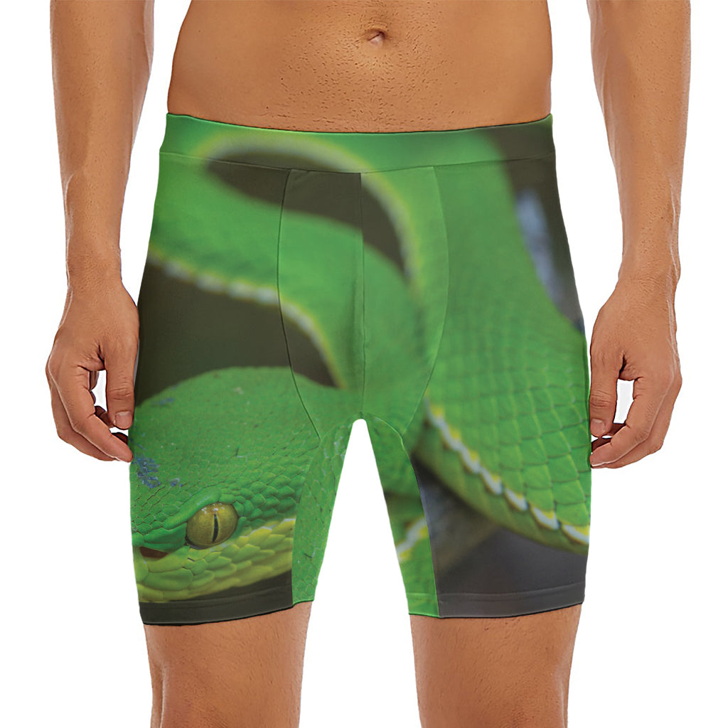 Trimeresurus Albolabris Snake Print Men's Long Boxer Briefs