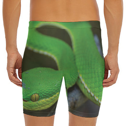 Trimeresurus Albolabris Snake Print Men's Long Boxer Briefs