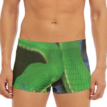 Trimeresurus Albolabris Snake Print Men's Short Boxer Briefs