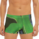 Trimeresurus Albolabris Snake Print Men's Short Boxer Briefs
