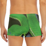 Trimeresurus Albolabris Snake Print Men's Short Boxer Briefs