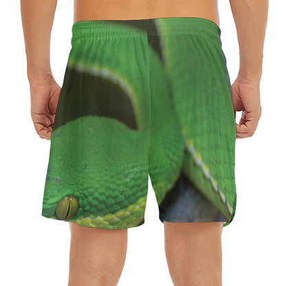 Trimeresurus Albolabris Snake Print Men's Split Running Shorts