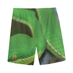 Trimeresurus Albolabris Snake Print Men's Sports Shorts