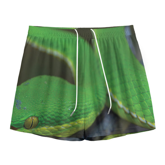 Trimeresurus Albolabris Snake Print Mesh Shorts