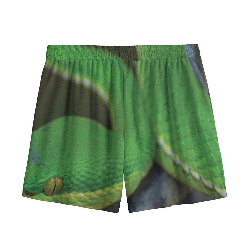 Trimeresurus Albolabris Snake Print Mesh Shorts