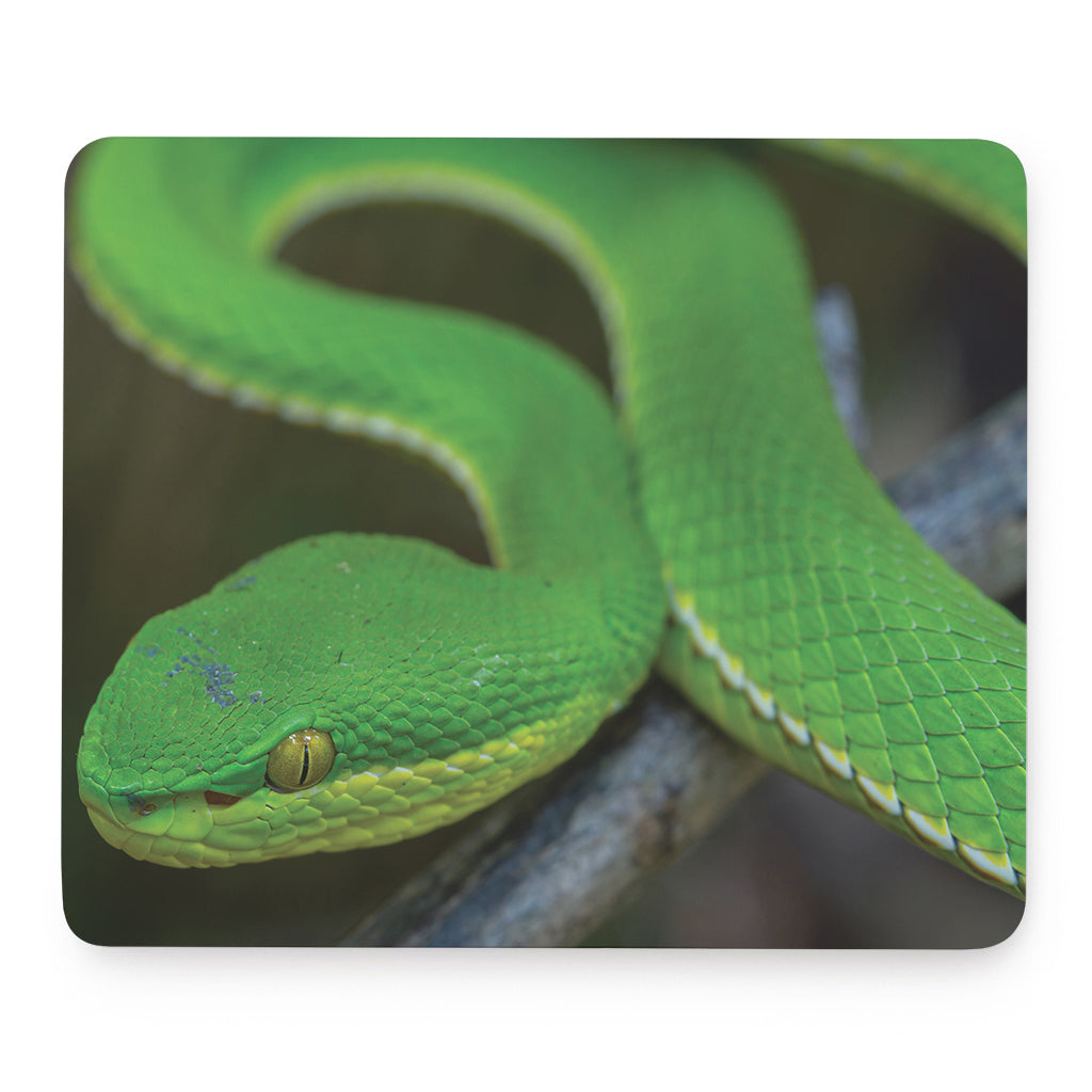Trimeresurus Albolabris Snake Print Mouse Pad