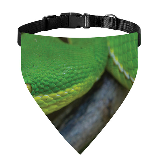 Trimeresurus Albolabris Snake Print Over The Collar Dog Bandana