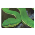 Trimeresurus Albolabris Snake Print Polyester Doormat