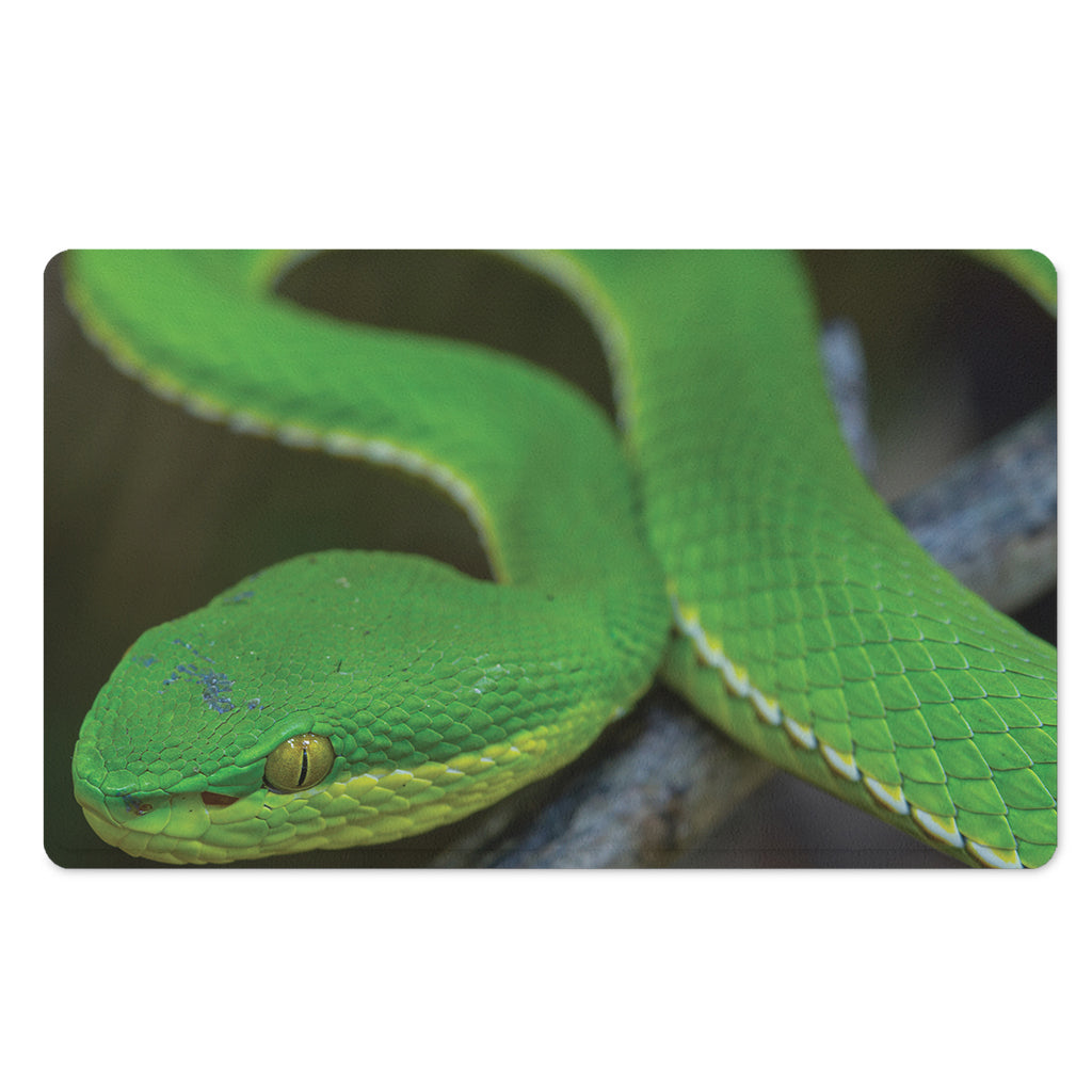 Trimeresurus Albolabris Snake Print Polyester Doormat