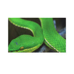 Trimeresurus Albolabris Snake Print Polyester Flag