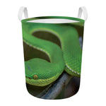 Trimeresurus Albolabris Snake Print Round Laundry Basket