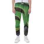 Trimeresurus Albolabris Snake Print Scuba Joggers