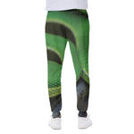 Trimeresurus Albolabris Snake Print Scuba Joggers