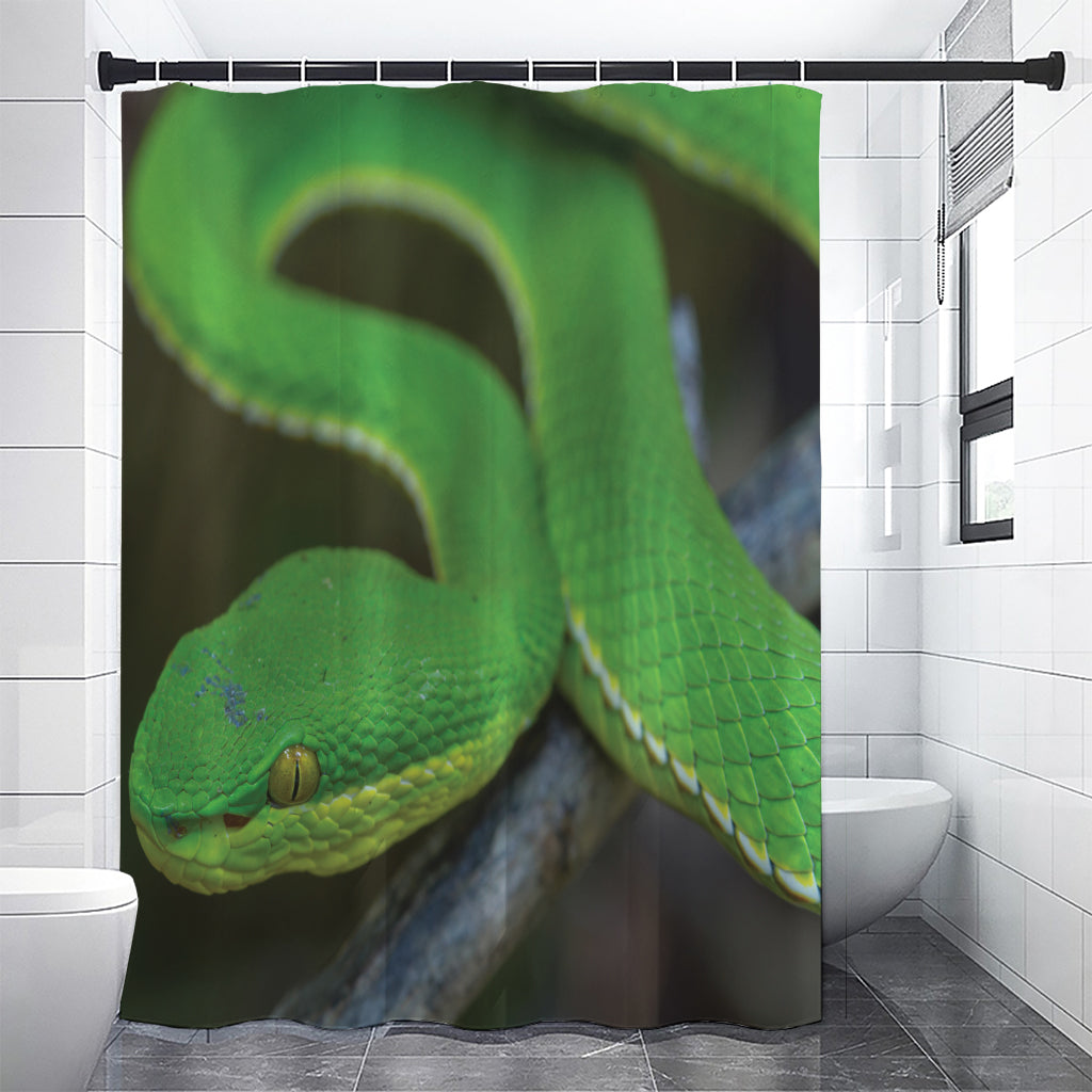 Trimeresurus Albolabris Snake Print Shower Curtain