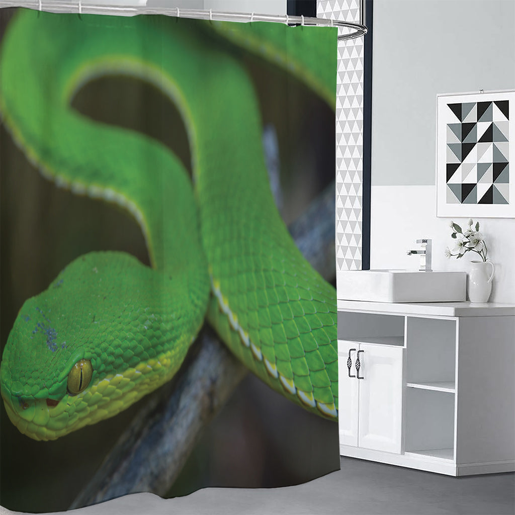 Trimeresurus Albolabris Snake Print Shower Curtain