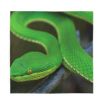 Trimeresurus Albolabris Snake Print Silk Bandana