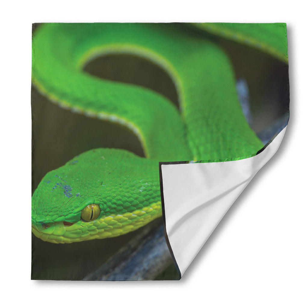 Trimeresurus Albolabris Snake Print Silk Bandana