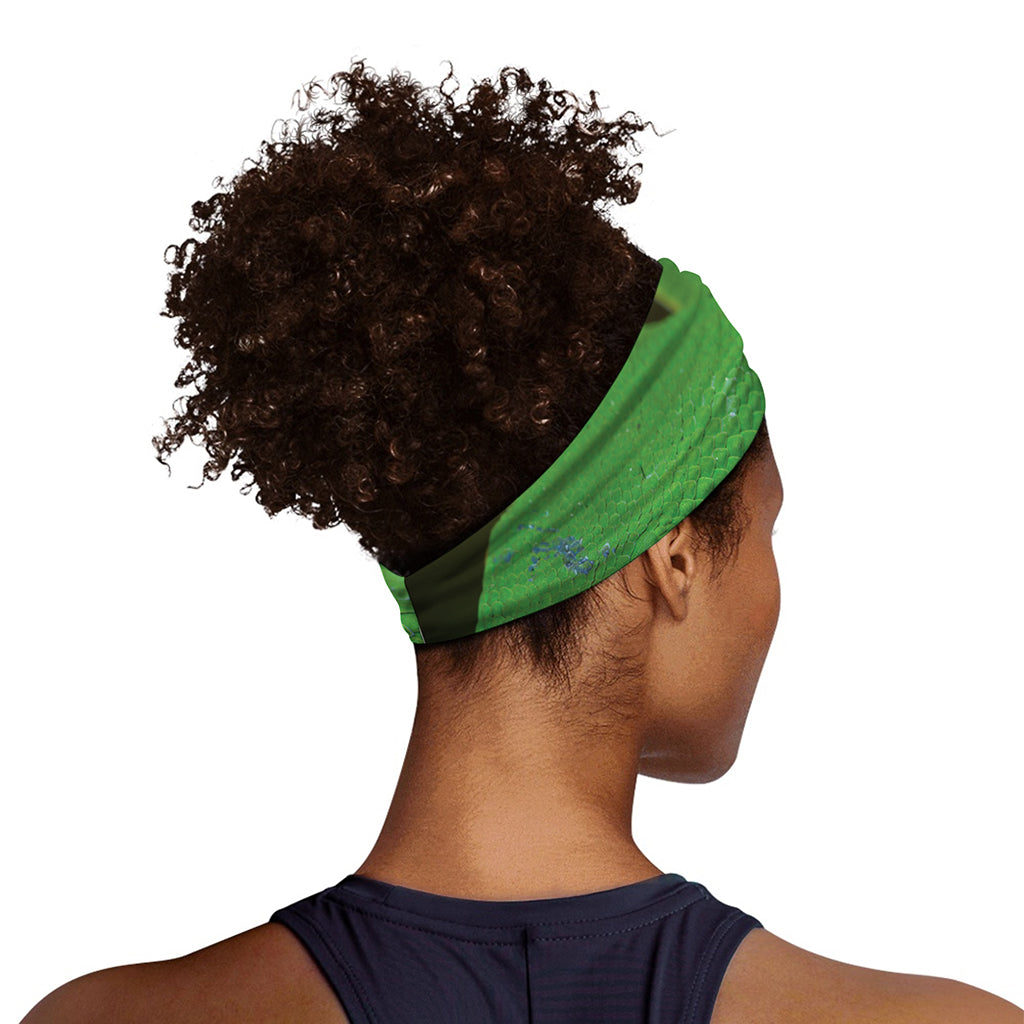 Trimeresurus Albolabris Snake Print Sports Headband