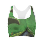 Trimeresurus Albolabris Snake Print Women's Sports Bra