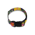 Tropical Alstroemeria Pattern Print Dog Collar