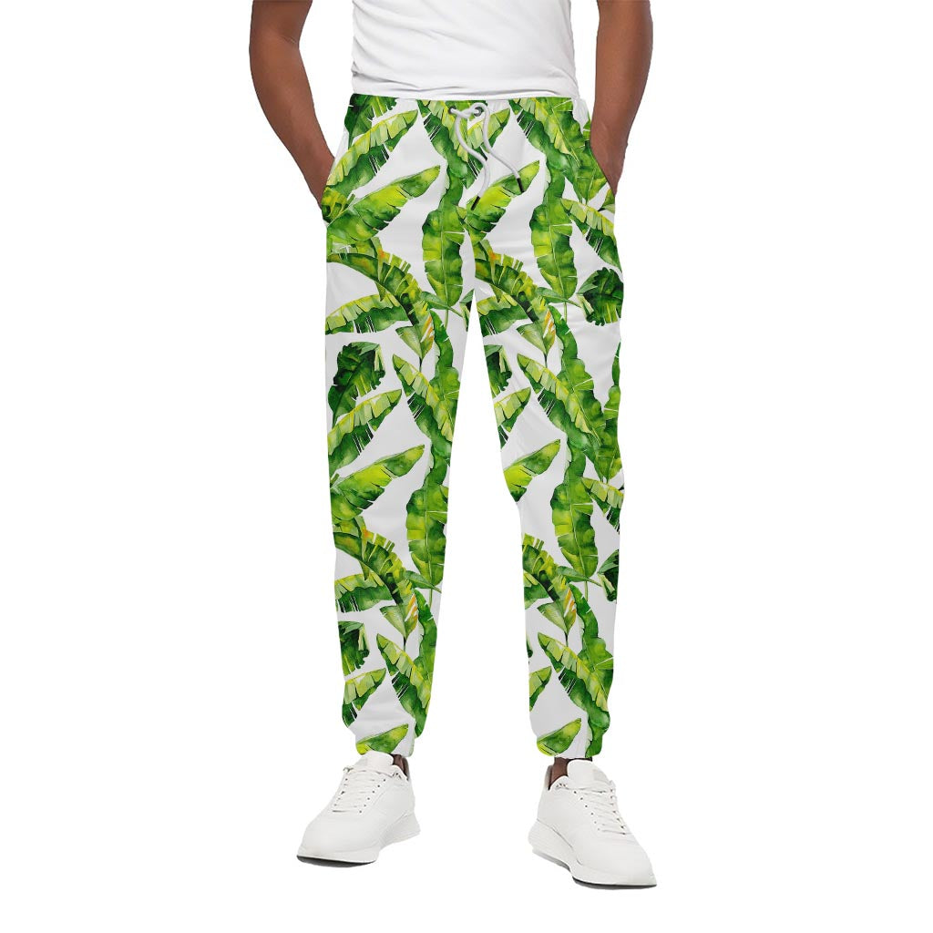 Tropical Banana Leaves Pattern Print Cotton Pants