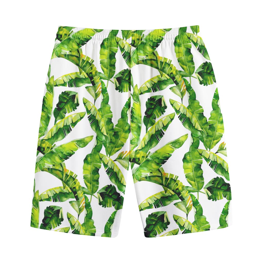 Tropical Banana Leaves Pattern Print Cotton Shorts
