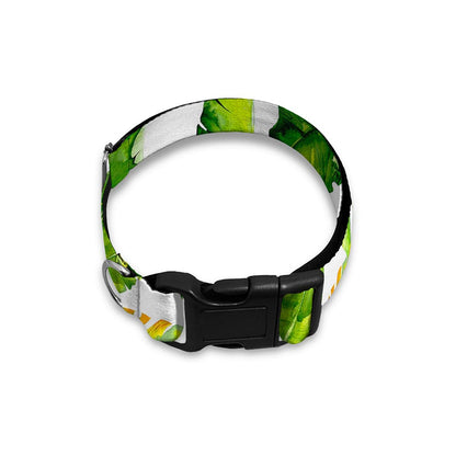 Tropical Banana Leaves Pattern Print Dog Collar