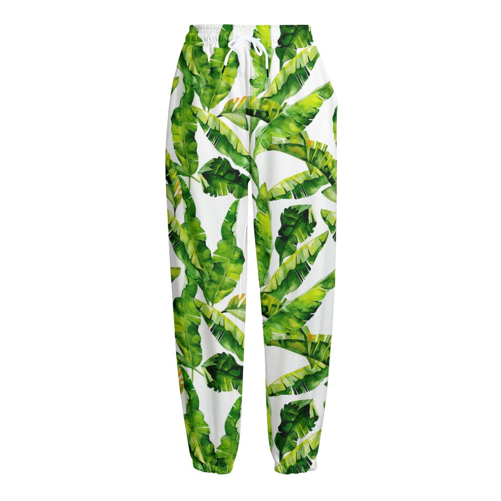 Tropical Banana Leaves Pattern Print Fleece Lined Knit Pants