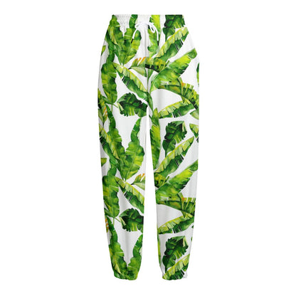 Tropical Banana Leaves Pattern Print Fleece Lined Knit Pants