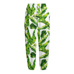 Tropical Banana Leaves Pattern Print Fleece Lined Knit Pants