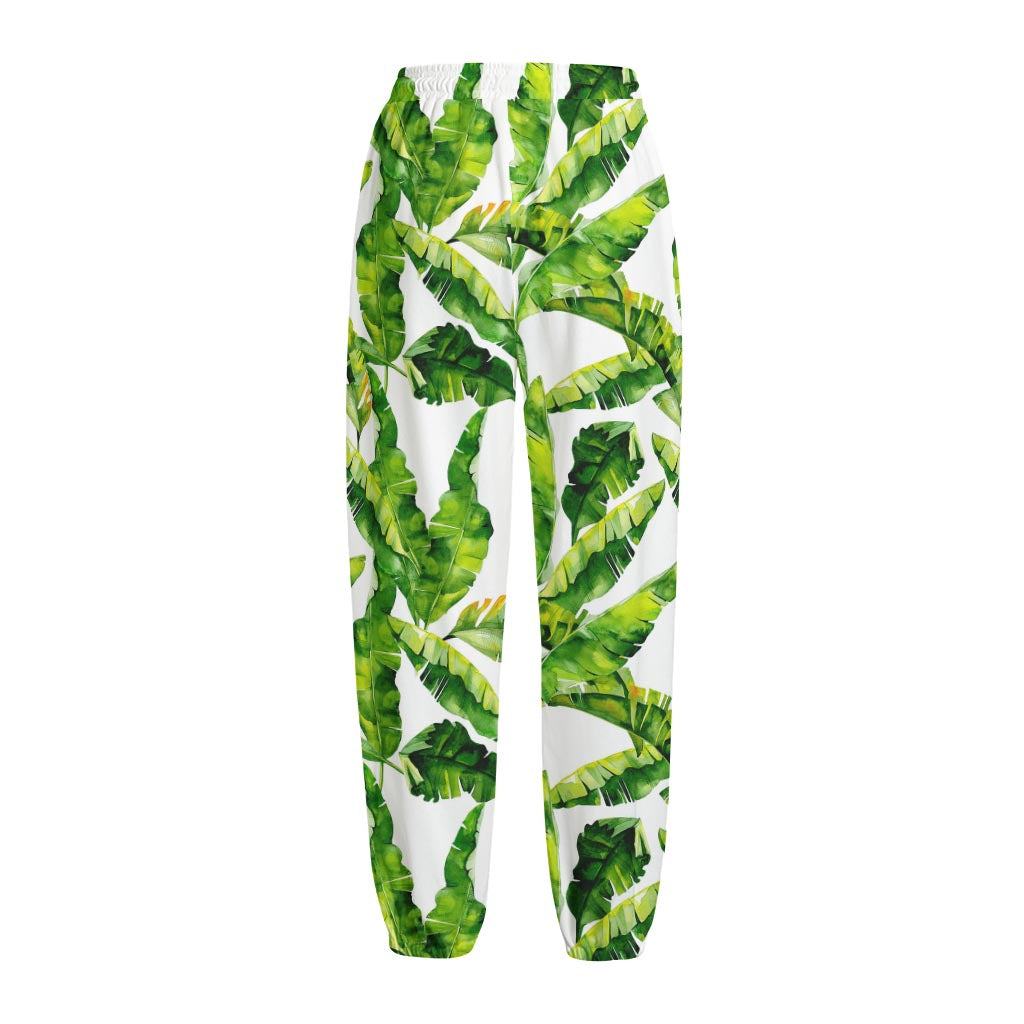 Tropical Banana Leaves Pattern Print Fleece Lined Knit Pants