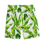 Tropical Banana Leaves Pattern Print Men's Sports Shorts