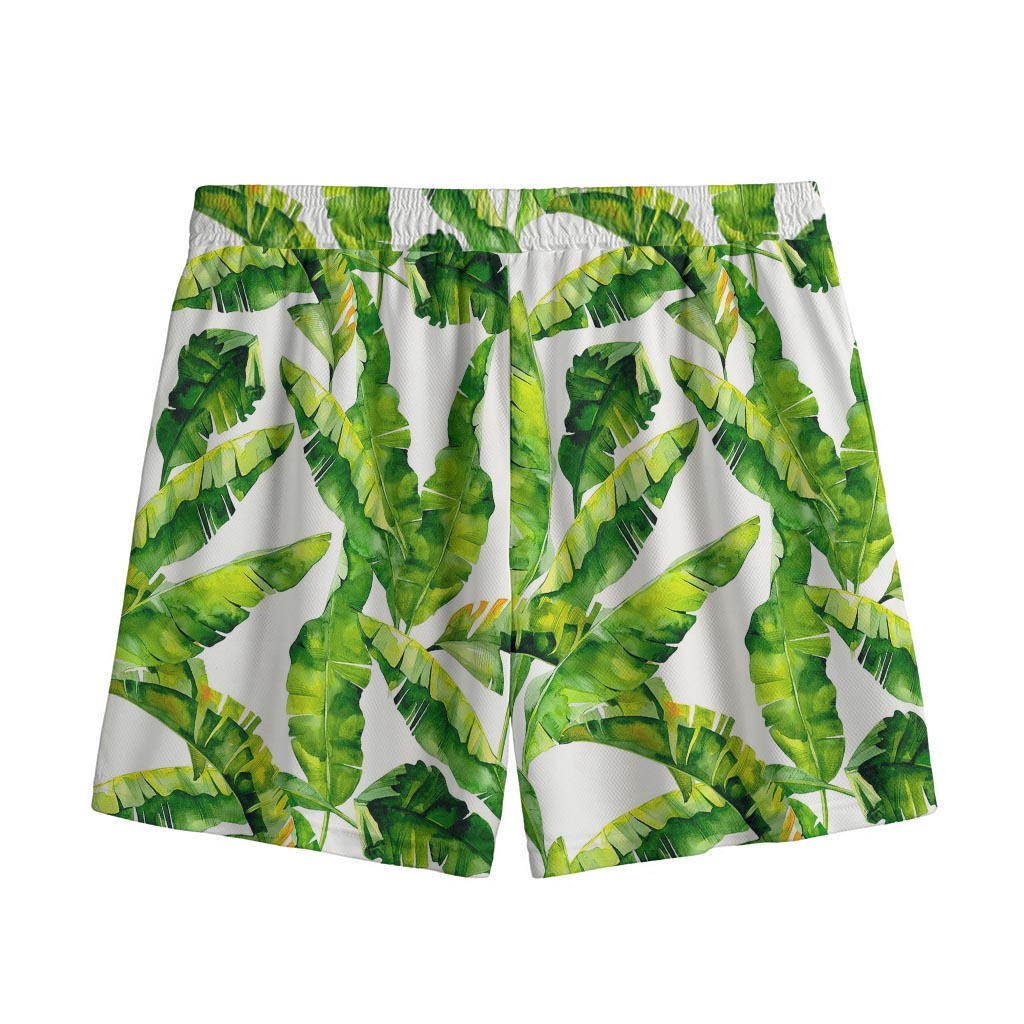 Tropical Banana Leaves Pattern Print Mesh Shorts
