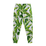 Tropical Banana Leaves Pattern Print Sweatpants