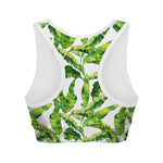 Tropical Banana Leaves Pattern Print Women's Sports Bra